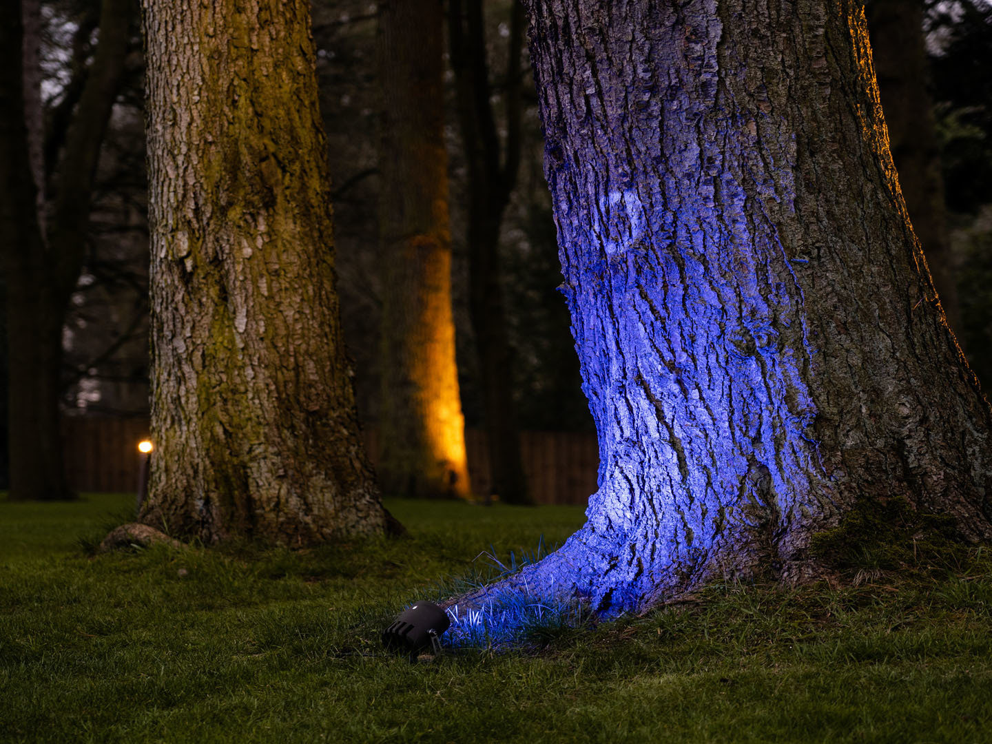 Titan Electrical Cheshire - Blue Tree Lighting